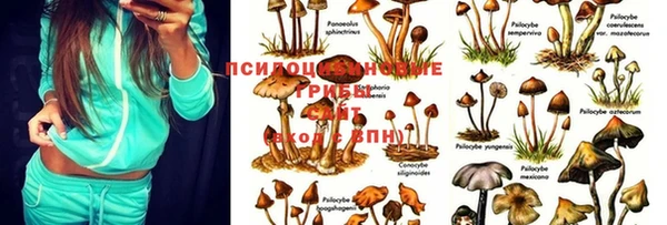скорость Белоозёрский