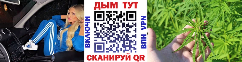 Канабис конопля  купить   Кудымкар 
